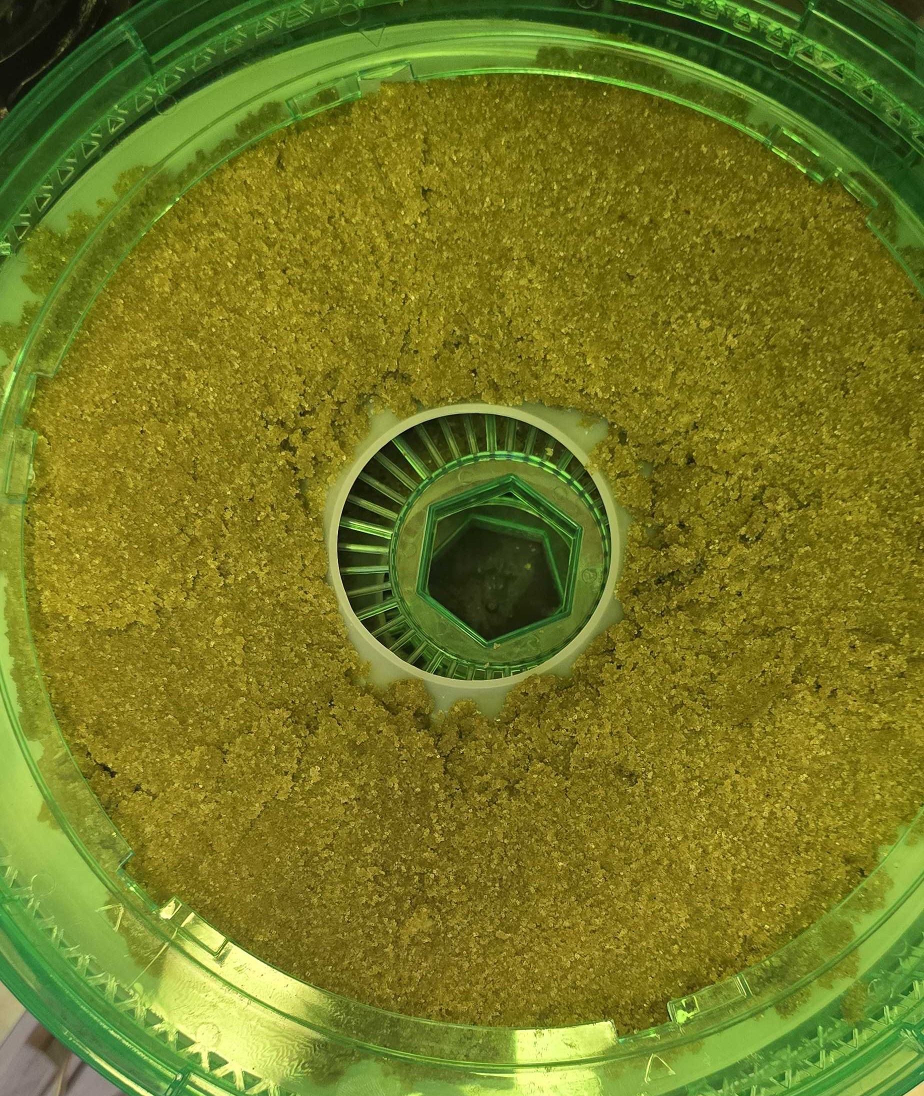 Herbs Now Dryer Test Batch 4